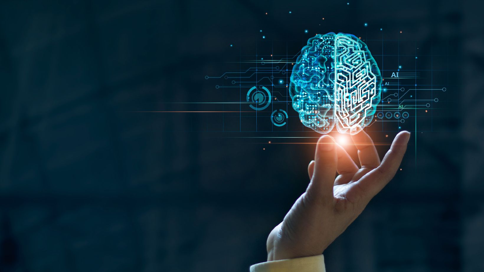 Digital Knowledge Butler BRZ